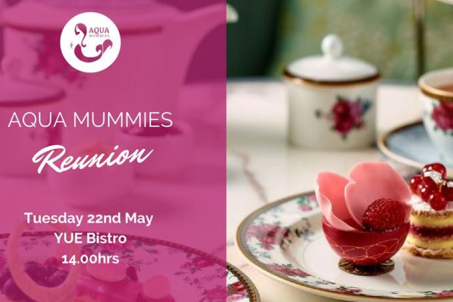 Aqua Mummies – Class Reunion